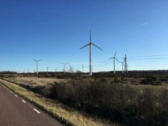 Vestas V29 wind farm
